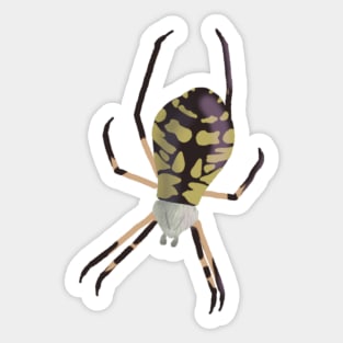 Yellow Garden Spider Sticker